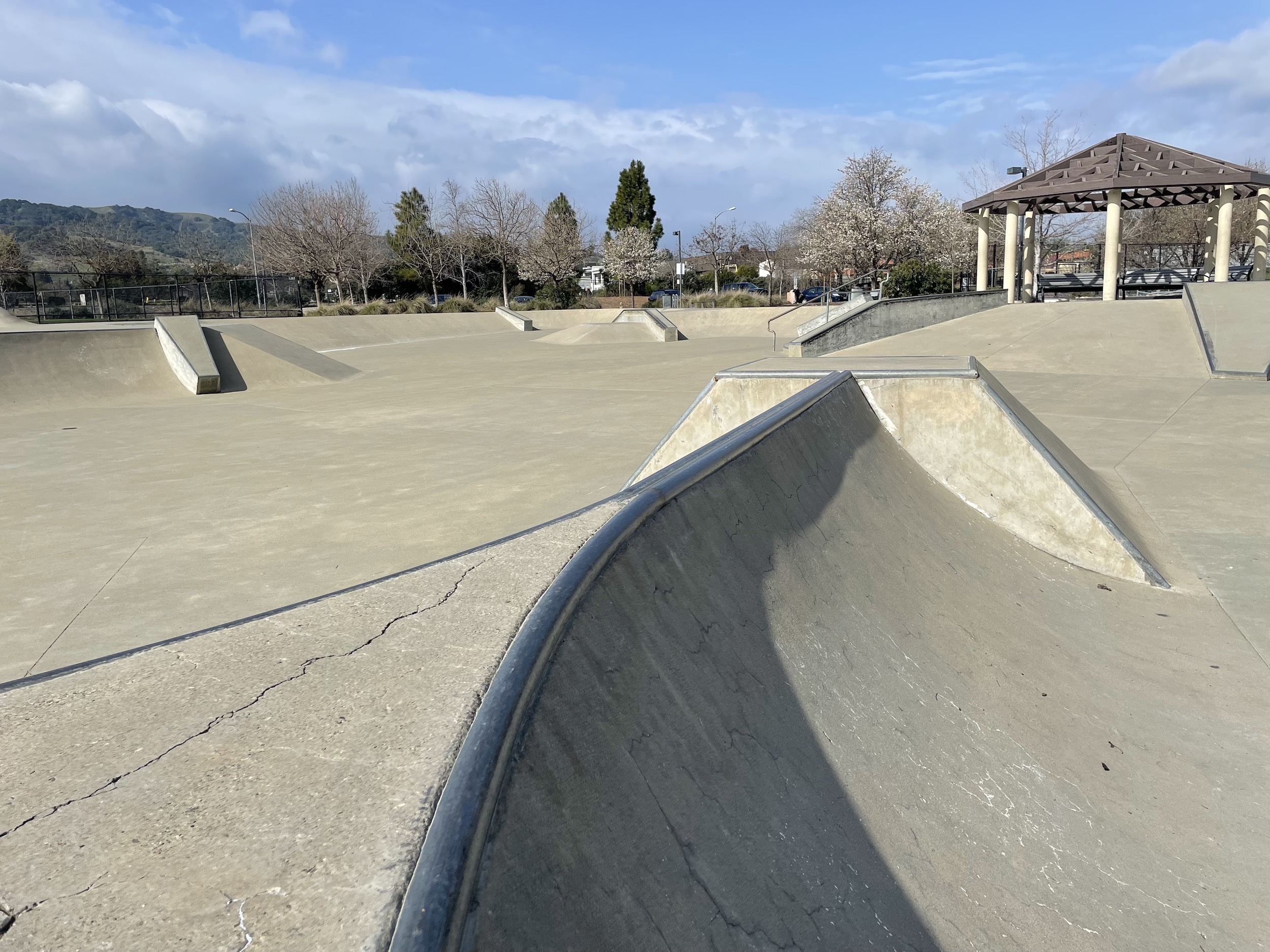 Pleasanton skatepark